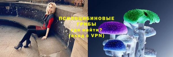 каннабис Куйбышев